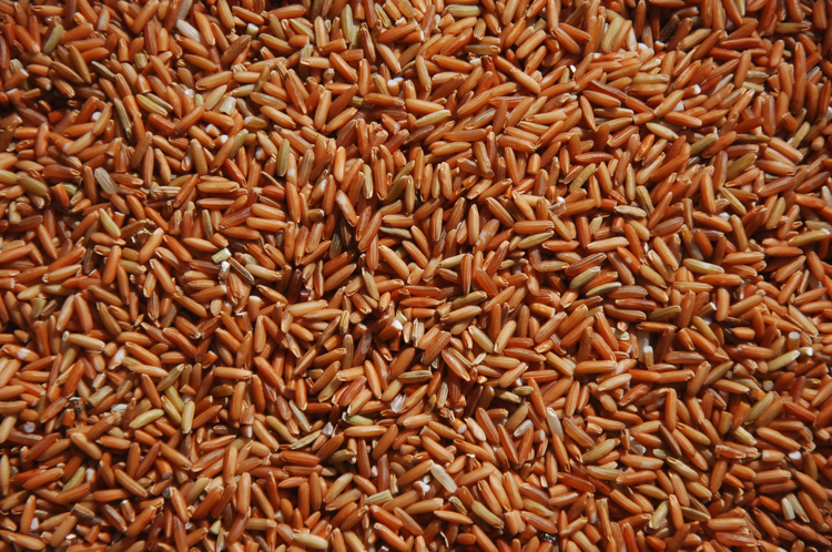 袁氏麓峰現(xiàn)代農(nóng)業(yè)有限公司,長(zhǎng)沙袁酒原材料基地管理,白酒銷售,酒類銷售哪里好